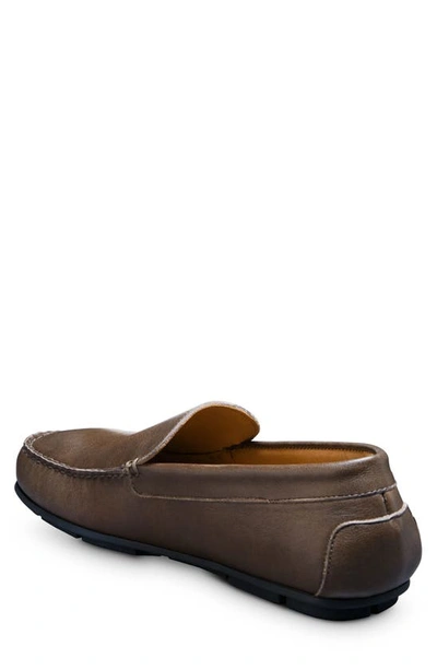 Allen Edmonds 'boulder' Driving Loafer In Brown