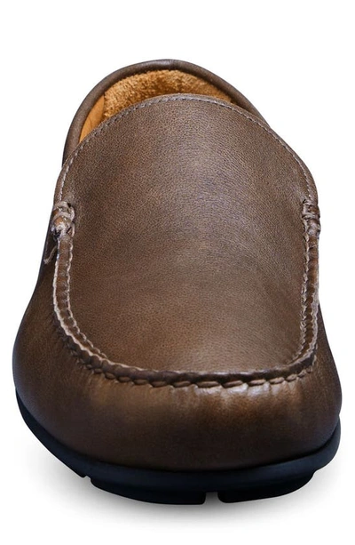 Shop Allen Edmonds Santiago Driving Loafer In Brown