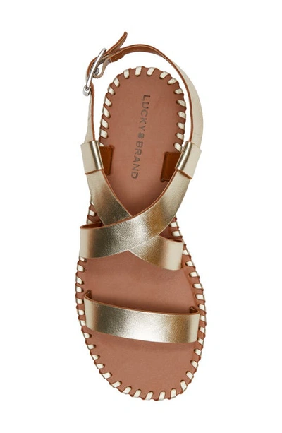 Shop Lucky Brand Zelek Ankle Strap Sandal In Gold Platino Cabral
