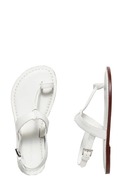 Shop Bernardo Footwear Maverick 2 Toe Loop Sandal In White