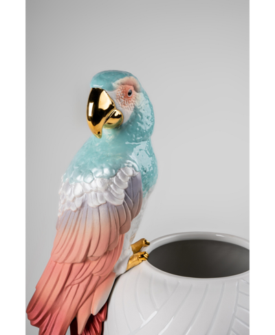 Lladrò Macaw Bird Vase In Multi