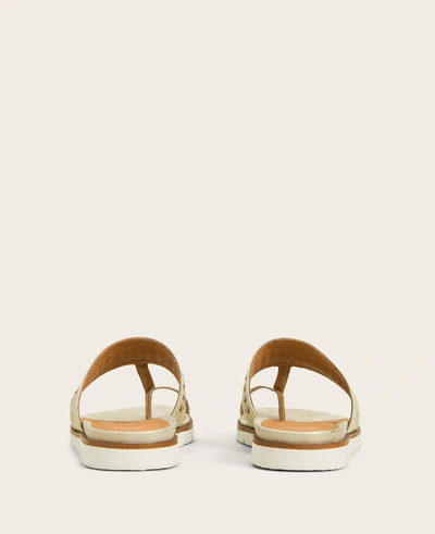 Gentle Souls Lavern Lite Thong Braided Sandal In Ice