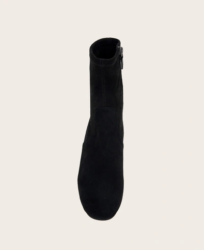 Shop Gentle Souls Emily Suede Zip Bootie In Black