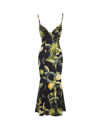 Shop Roberto Cavalli Black Dress With Straps And Lemon Print