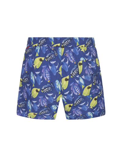 Shop Kiton Blue Swim Shorts With Fish Print