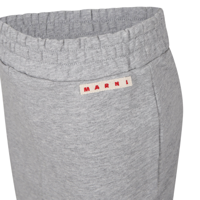 Shop Marni Gray Skirt For Girl With Logo In Grey