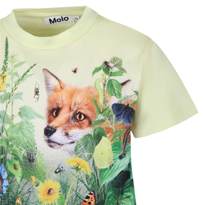 Shop Molo Green T-shirt For Boy