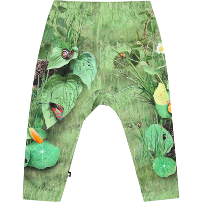 Shop Molo Green Sports Trousers For Baby Kids In Multicolor