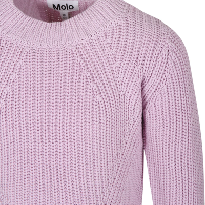 Shop Molo Pink Sweater For Girl