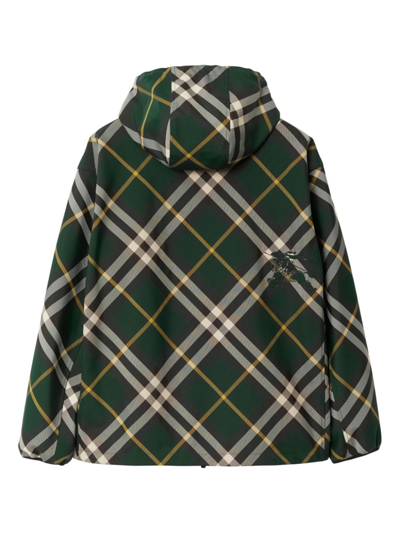 Shop Burberry Check Hooded Jacket In Green