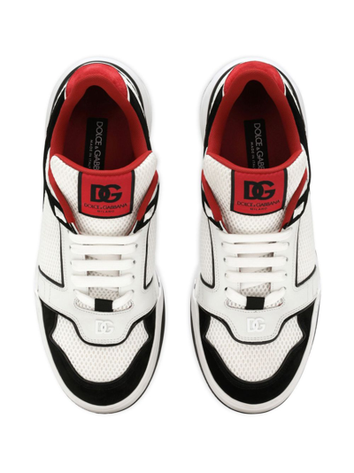 Dolce & Gabbana Leather And Mesh Sneaker In Multi