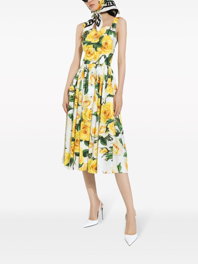 Shop Dolce & Gabbana Flower Print Cotton Midi Dress In White