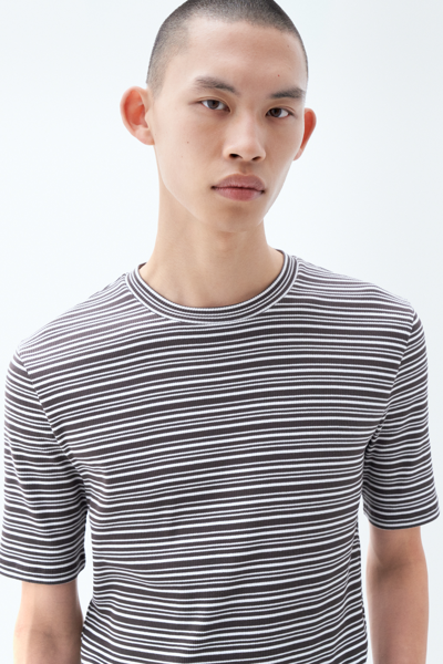 Filippa K Striped Rib Tee In Brown