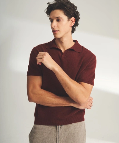 Shop Naadam Lightweight Cashmere Short Sleeve Polo In Clay