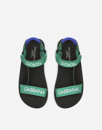 Shop Dolce & Gabbana Gros-grain Sandals In Multicolor