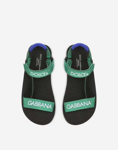 Dolce & Gabbana Gros-grain Sandals In Multicolor