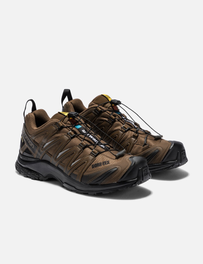 Shop And Wander Salomon ×  Xa Pro 3d Gore-tex In Brown