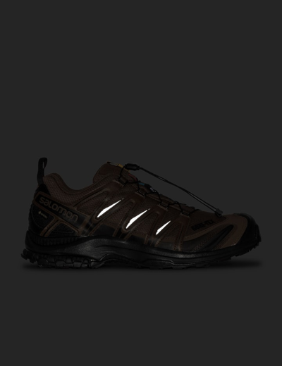 Shop And Wander Salomon ×  Xa Pro 3d Gore-tex In Brown