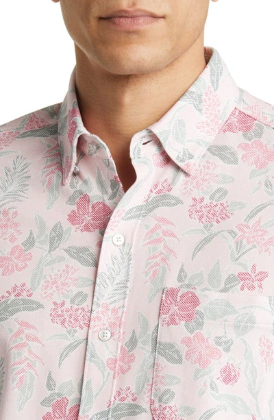Shop Tommy Bahama San Lucio Aqua Isles Islandzone® Floral Stretch Short Sleeve Button-up Shirt In Carmine Pink