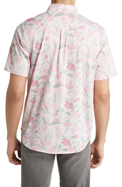 Shop Tommy Bahama San Lucio Aqua Isles Islandzone® Floral Stretch Short Sleeve Button-up Shirt In Carmine Pink