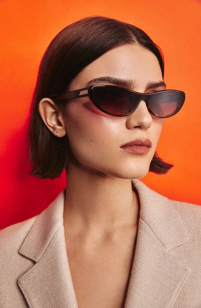Shop Quay X Guizio Slate 37mm Gradient Cat Eye Sunglasses In Tortoise Dark Brown