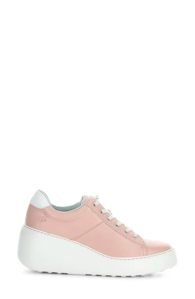 Shop Fly London Delf Platform Wedge Sneaker In 015 Pink/ White Velve