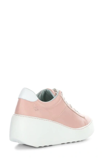 Shop Fly London Delf Platform Wedge Sneaker In 015 Pink/ White Velve