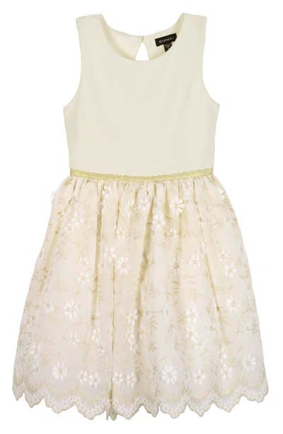 Shop Zunie Kids' Embroidered Party Dress In Ivory/ Gold