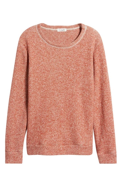 Loveappella Crewneck Cotton Sweatshirt In Terracotta