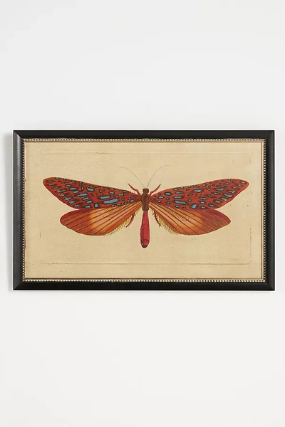 Shop Wendover Art Group Crackled Moth Wall Art