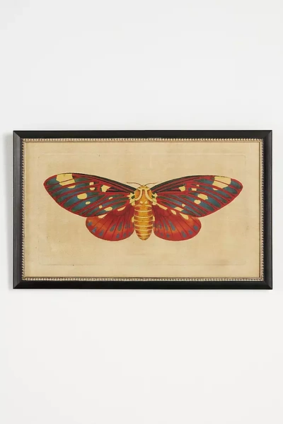 Shop Wendover Art Group Crackled Moth Wall Art