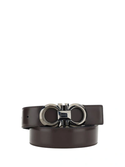 Shop Ferragamo Belts E Braces In Black