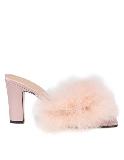 Shop Maison Margiela Mules With Feathers In Pink