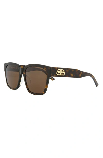 Balenciaga 56mm Square Sunglasses In Havana Havana Brown