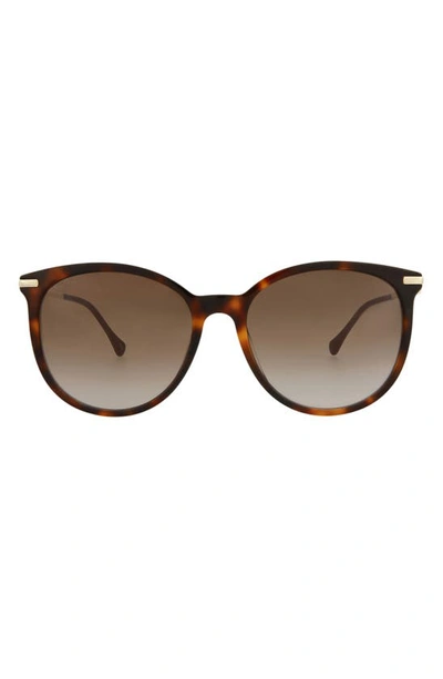 Gucci 56mm Cat Eye Sunglasses In Havana Gold Red