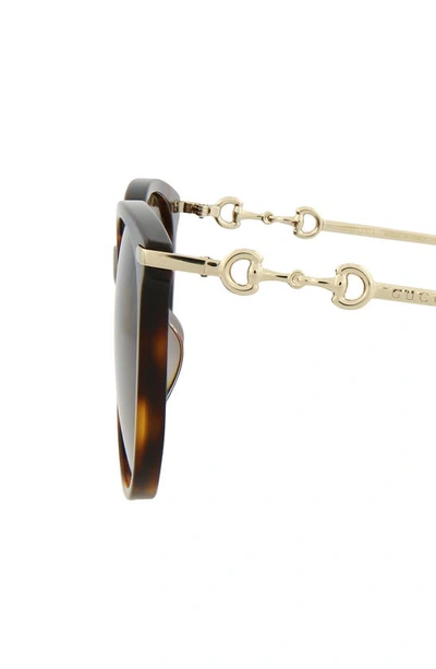 Gucci 56mm Cat Eye Sunglasses In Havana Gold Red