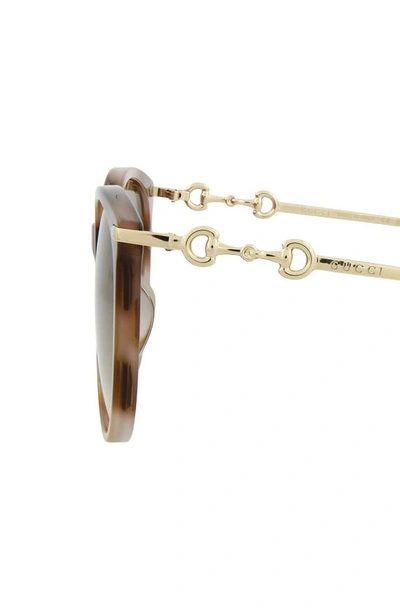 Shop Gucci 56mm Cat Eye Sunglasses In Havana Gold Brown