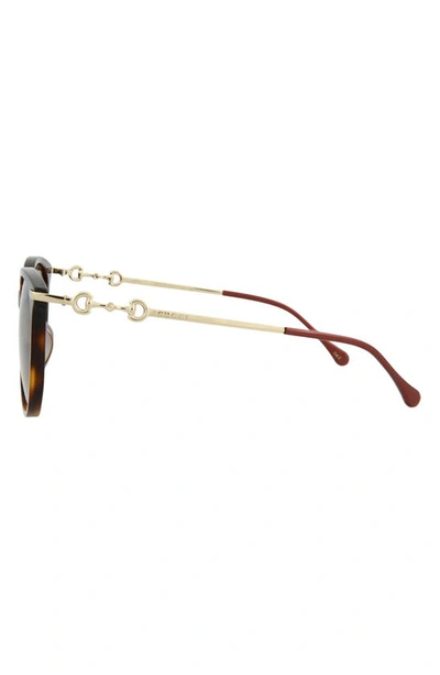 Gucci 56mm Cat Eye Sunglasses In Havana Gold Red
