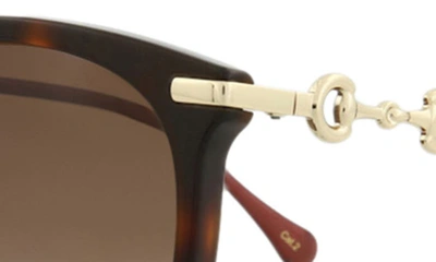 Gucci 56mm Cat Eye Sunglasses In Havana Gold Red