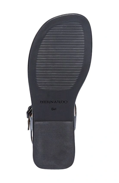Shop Bernardo Footwear Tucson Sandal In Black