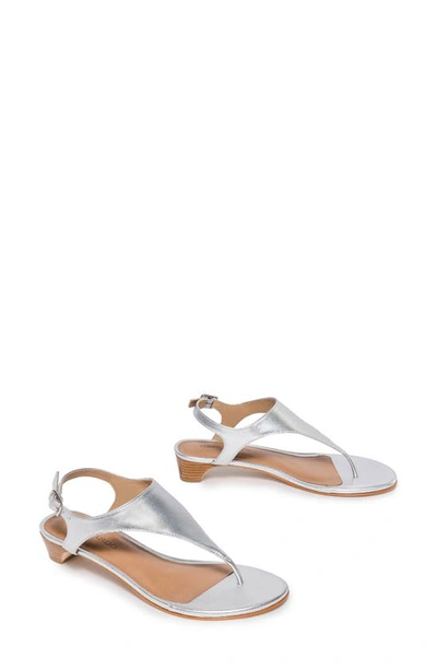 Shop Bernardo Footwear Goldy Sandal In Silver