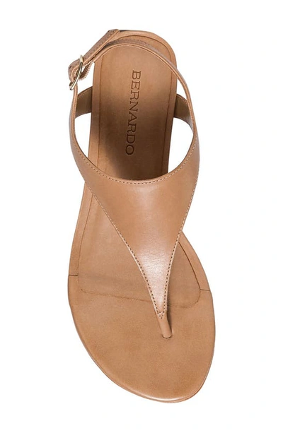 Shop Bernardo Footwear Goldy Sandal