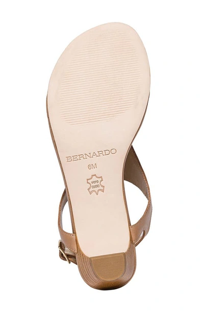 Shop Bernardo Footwear Goldy Sandal