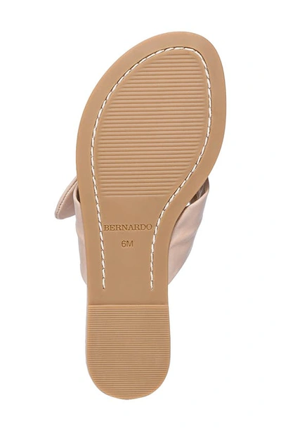 Shop Bernardo Footwear Harmony Sandal In Blush