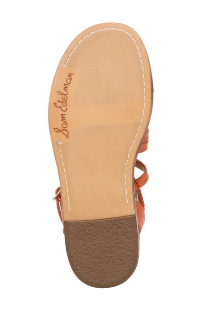 Shop Sam Edelman Tianna Ankle Strap Sandal In Terra Orange