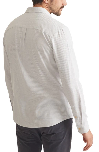 Shop Marine Layer California Stripe Oxford Cotton Button-down Shirt In Grey Stripe