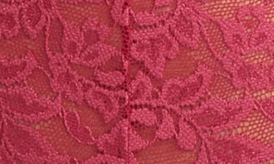 Hanky Panky Retro Vikini In Evening Pour