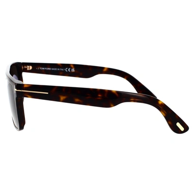 Tom Ford Eyewear Sunglasses In Havana