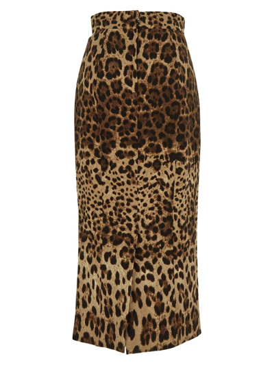 Shop Dolce & Gabbana Wool Skirt In Brown