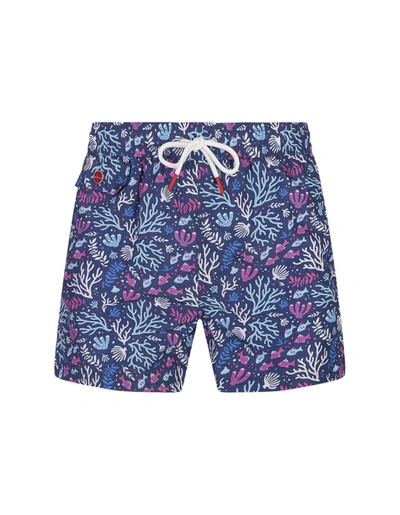Shop Kiton Swim Shorts With Fish And Coral Pattern In Blue